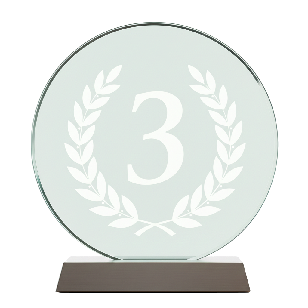 Ranked 3rd Award