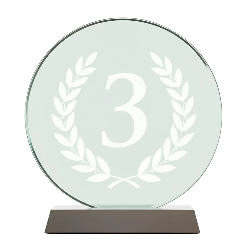 Ranked 3rd Award